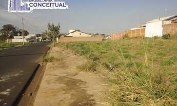 Imagem 4: Terreno em São José do Rio Preto