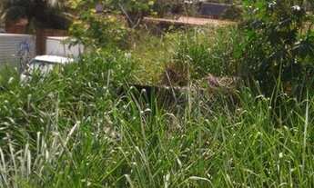 Imagem: Terreno residencial à venda, Campo Grande