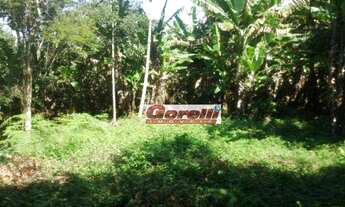 Imagem 3: Área à venda, 169400 m² por R$ 955.000,00 - São Benedito - Monteiro Lobato/SP