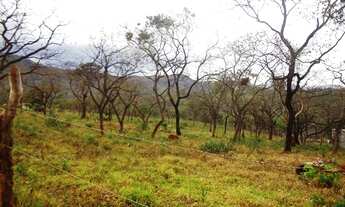 Imagem 7: Brumadinho - Loja de Shopping/Centro Comercial - Casa Branca
