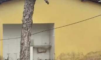 Imagem: MSS331 Casa para venda em Periperi - Salvador