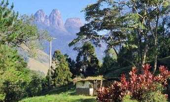 Imagem: Sítio/Fazenda à venda, 50 alqueires por