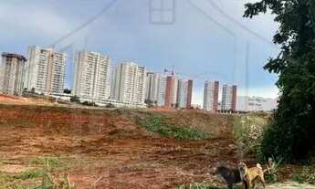 Imagem 2: Terreno Ponta Negra 312m² - Manaus