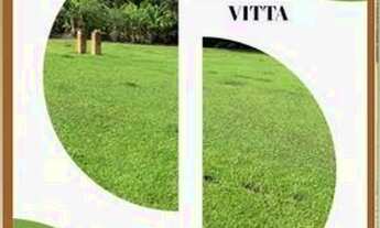 Imagem 5: DB- Vendo Terreno para sua moradia