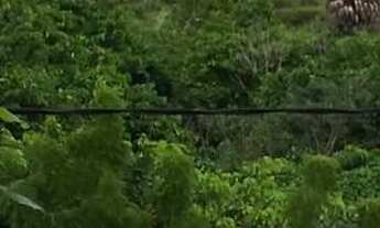 Imagem 6: Apartamento para aluguel tem 48 metros quadrados com 2 quartos em Itaperi - Fortaleza - Ce