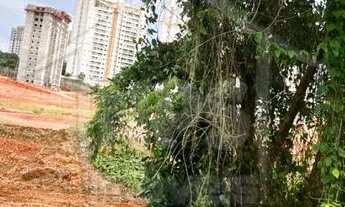 Imagem 3: Terreno Ponta Negra 312m² - Manaus