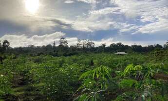 Imagem 7: Vende-se 03 três chácaras à 25 minutos do Centro