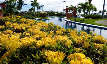 Imagem: Vila flor - Lotes - Á partir de 280m²