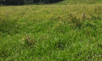 Imagem 2: 20k terreno perto da natureza