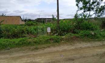 Imagem 4: Terreno para Venda em Porto Grande Araquari-SC - 745