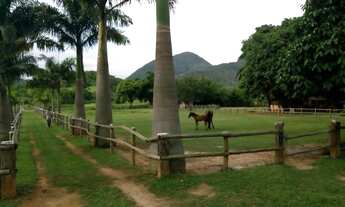 Imagem 6: Haras em Saquarema