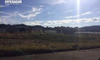 Imagem 2: FLORES DA CUNHA - Terreno Padrão - Nova Trento