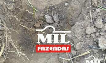 Imagem: Arrendamento Agrícola em Nova Crixas-GO