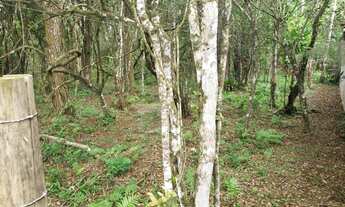 Imagem 7: Terreno para Venda em Corveta Araquari-SC - 1214