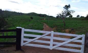 Imagem 5: Fazenda apui terra boa de agua capim etc