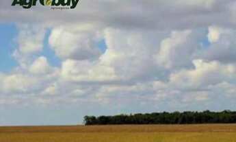 Imagem 3: Fazenda próxima a Guarai - TO