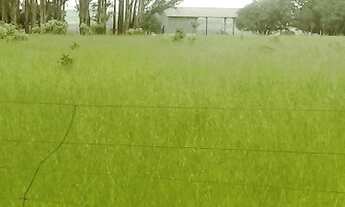 Imagem: Fazenda em Niquelândia 1