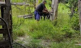 Imagem 4: Sítio a venda Chácara com venda por R$1.800.000