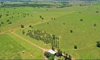 Imagem 2: Magnífica Fazenda, 3.133 Hectares, Município e Nioaque - MS