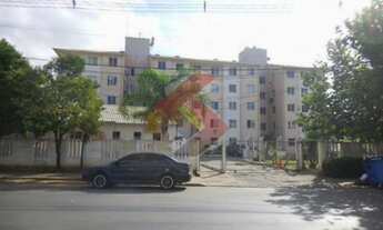 Imagem 3: CANOAS - Padrão - Igara