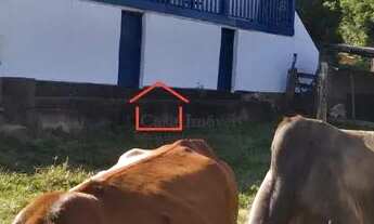 Imagem 2: MOEDA - Sítio - Centro