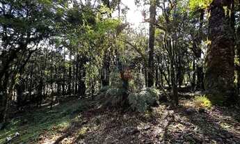 Imagem 5: Terreno no Residencial Pinheiro Grosso em Canela!