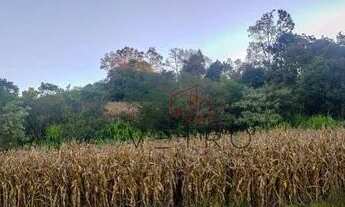 Imagem 3: Sítio na Linha Araripe em Gramado!