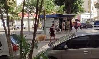 Imagem 3: Apartamento para aluguel possui 70 metros quadrados com 2 quartos