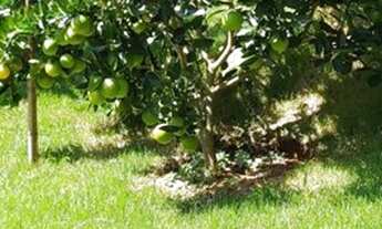 Imagem 6: Casa com 3 dormitórios à venda, 115 m² por R$ 470.000,00 - Albuquerque - Teresópolis/RJ