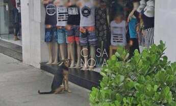 Imagem: Loja para alugar, 311 m² por R$ 7.000,00/mês