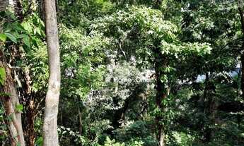 Imagem 3: Terreno à venda, 384 m² por R$ 320.000,00 - Fradinhos - Vitória/ES