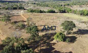 Imagem 5: Fazenda em Montividiu do Norte