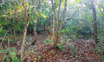 Imagem: Terreno à venda, 1000 m² por R$ 98.000,00