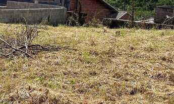 Imagem 4: LINDO LOTE EM UM BAIRRO TRANQUILO