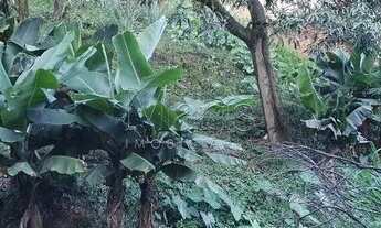 Imagem 4: Ótimo terreno plano com 536,00m², no Ano Bom, Barra Mansa