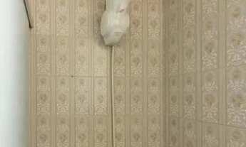 Imagem 6: Apartamento à Venda - Bela Vista, 2 Quartos, 100 m2