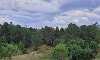 Imagem 2: Sítio na Colônia Santa Bernardina em Pelotas!