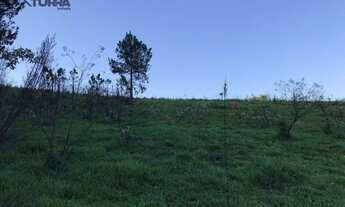 Imagem 5: Terreno à venda de 25800 m² no Itapetinga em Atibaia/SP - TE0923