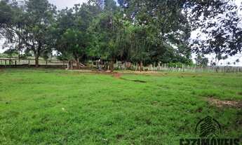 Imagem: FAZENDA NO MUNICÍPIO DE ARAGUATINS/TO