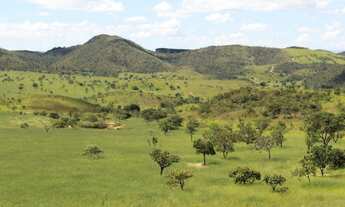 Imagem 6: Excelente fazenda de 130 alqueires em Cocalzinho