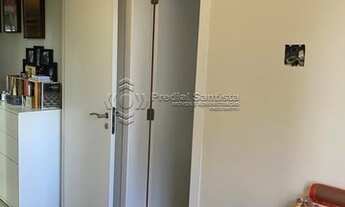 Imagem 5: SANTOS - Padrão - Gonzaga