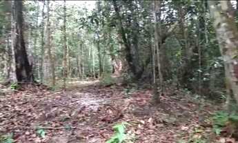 Imagem 7: Sitio, com corredeira, pousada, na BR 174, à 1 km de Presidente Figueiredo-Am