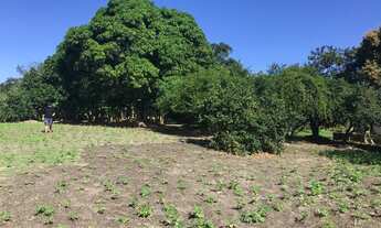 Imagem 6: Área comercial com 26.000m2 (2,6ha