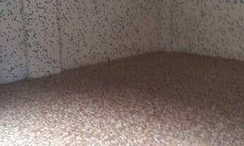 Imagem 3: Apartamento para alugar, 180 m² por R$ 3.500,00/mês - Aparecida - Santos/SP