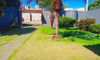 Imagem 5: Celina Dalul Mirassol