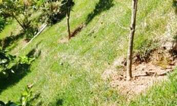 Imagem 7: Casa com 3 dormitórios à venda, 115 m² por R$ 470.000,00 - Albuquerque - Teresópolis/RJ