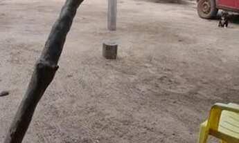 Imagem 6: Sítio a venda Chácara com venda por R$1.800.000