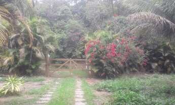 Imagem: VENDO OU ALUGO UM BELÍSSIMO SÍTIO EM XERÉM!