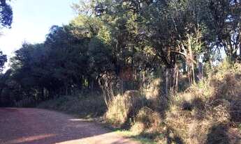 Imagem 4: Terreno na Barragem do Salto em São Francisco de Paula!