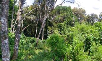 Imagem 6: Terreno à venda, 5549 m² por R$ 1.100.000,00 - Miringuava - São José dos Pinhais/PR